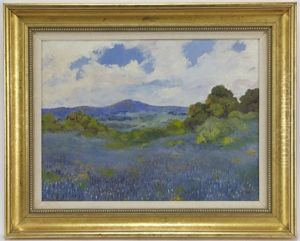 Bluebonnet