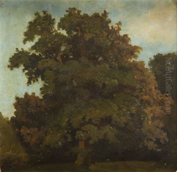 Tree - view 1