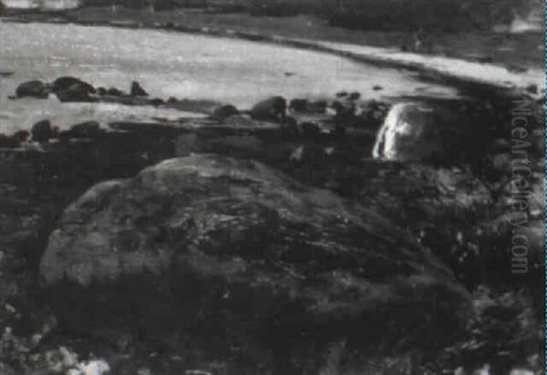 Kustenlandschaft Mit Gestein (ostsee) - view 1