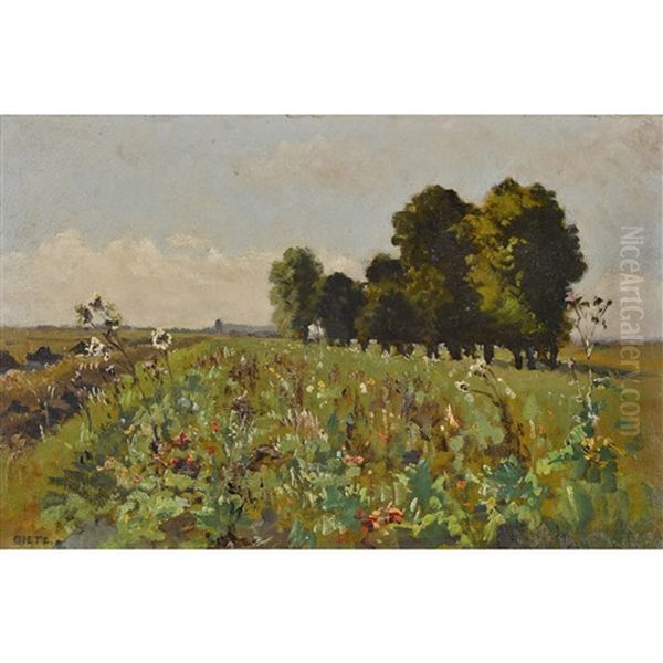 Blumige Wiese - view 1