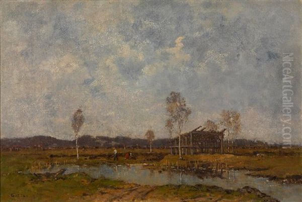 Moorlandschaft - view 1
