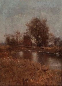 Fruhling Im Dachauer Moor Fruhling Im Dachauer Moor