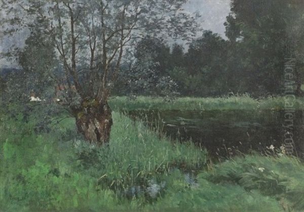 Flusslandschaft Mit Weide - view 1