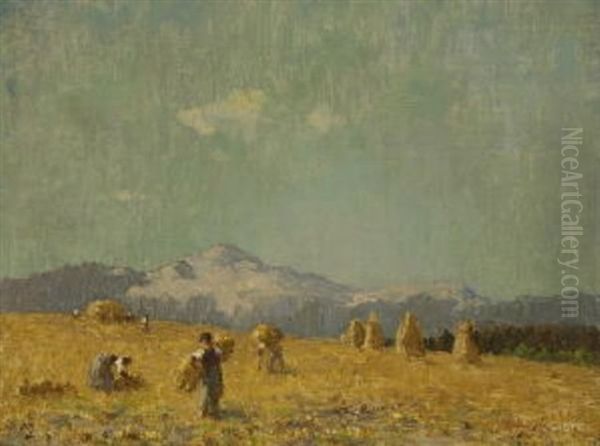 Heuernte - view 1
