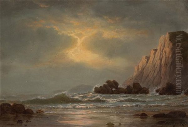 A Sunlit Shore - view 1