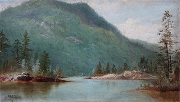 Alpine Landscape - view 1