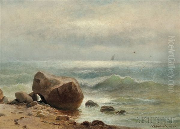 Surf Rolling In To A Rocky Shoal - view 1