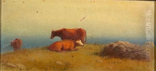 Cattle At Pasture - view 1