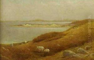 Coastal Scene With Grazing Sheep Coastal Scene With Grazing Sheep