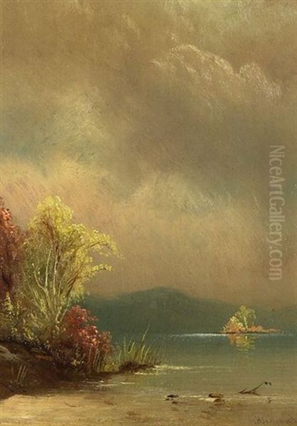 Quiet Shore - view 1