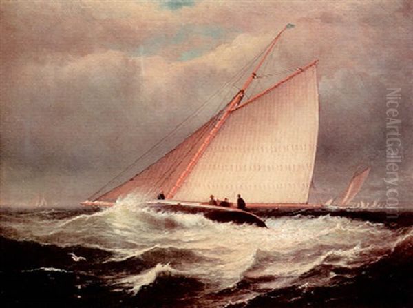 The Yacht Race - view 1