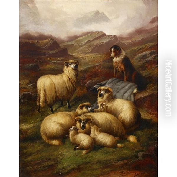 Highland Sheep With Dog - view 1