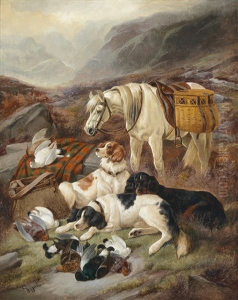 Rast Im Schottischen Hochland - view 1