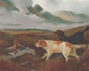 Spaniels Putting Up Bird Spaniels Putting Up Bird