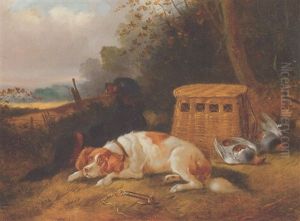 Spaniels After The Hunt