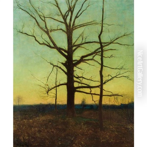 Silhouette Of Trees - view 1