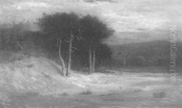 Winter Landscape - view 1