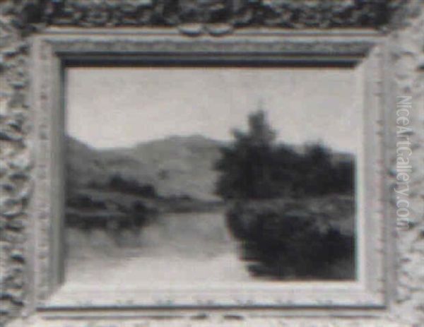 River Landscape - view 1