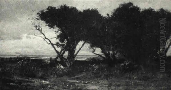 View Of Naushon Island - view 1