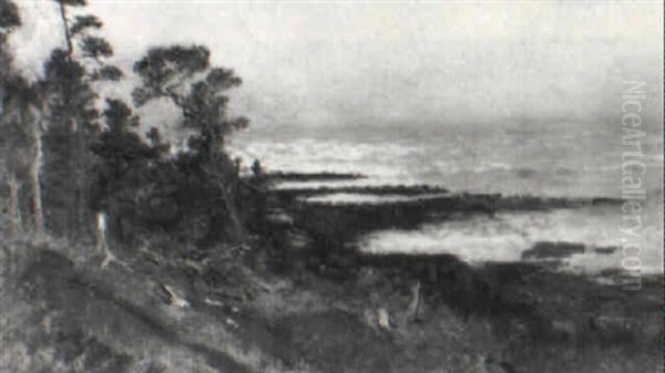 Coastal Scene - view 1