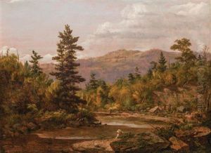 View From Schoharie Kill