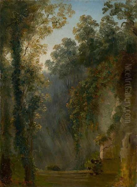 Park Study - view 1