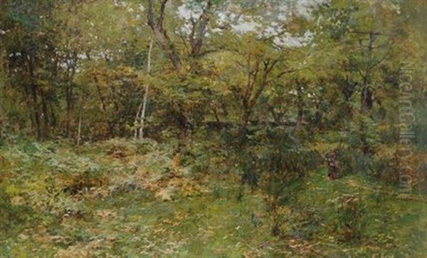 A Legna Nel Bosco - view 1