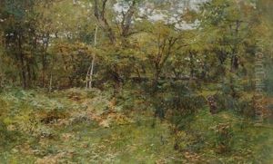 A Legna Nel Bosco A Legna Nel Bosco