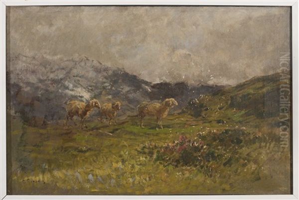 Daybreak In The Mountains: Landscape With Sheep - view 1