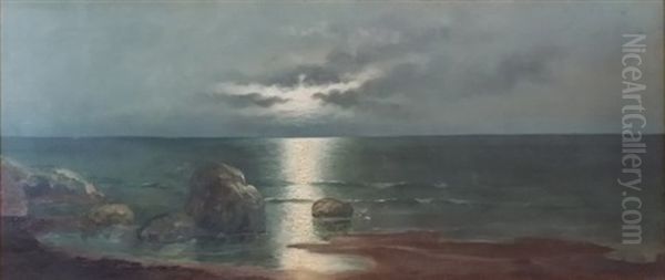 Ocean Side Scene - view 1