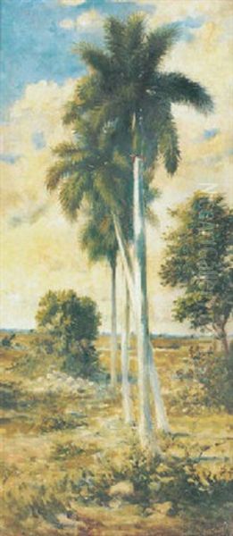 Untitled (palm Trees) - view 1