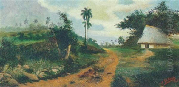 Criollo - view 1