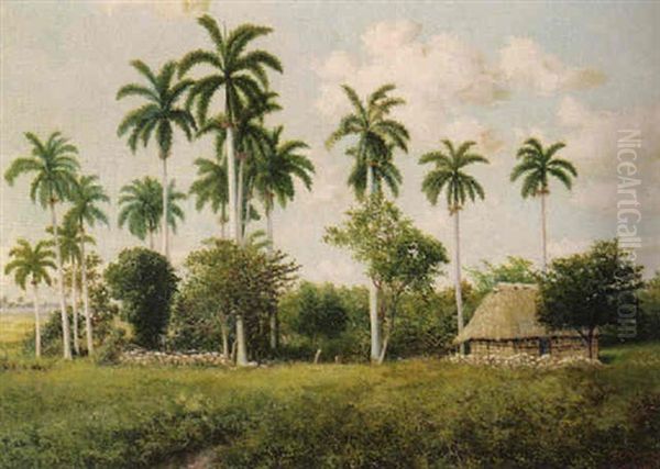 Paisaje Con Palmeras - view 1