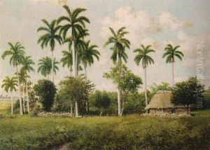 Paisaje Con Palmeras by Juan Gil Garca