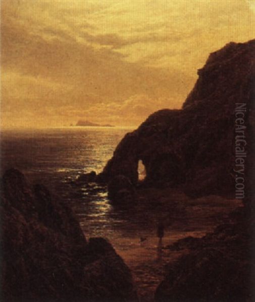 Moonlit Bay - view 1