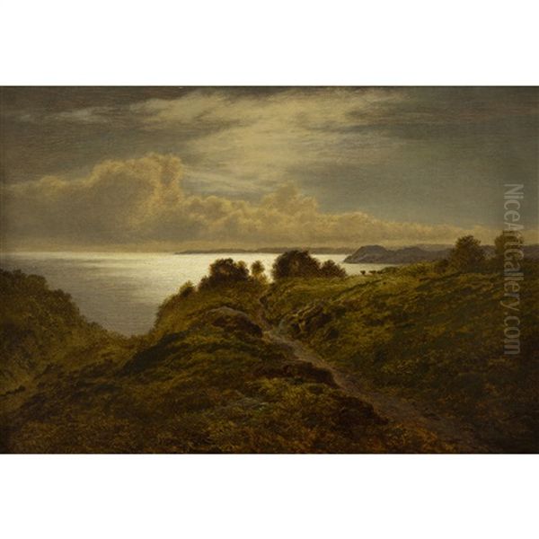 Night On The Coast Near Lydstop, Pembrokeshire - view 1