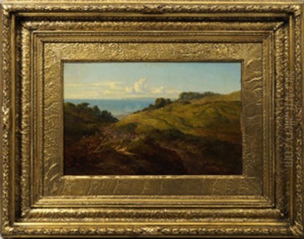 Cattle Grazing On A Hillside Overlooking The Sea - view 1
