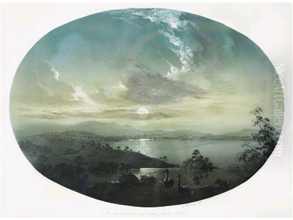 Lake Madewarree, Nr Geelong, Victoria, Australia By Moonlight With Emus In The Foreground - view 1