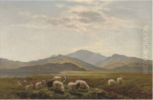 In The Valley Near Strata, Florida, South Wales by Arthur Gilbert