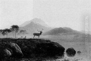 Red Deer In A Highland Loch Landscape