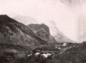 Sheep In A Mountainous Welsh Landscape by Arthur Gilbert