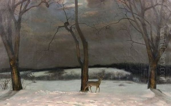 Evening Or Hungry Deer Approaching Near To Human Habitation - view 1