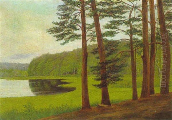 Markische Seelandschaft - view 1