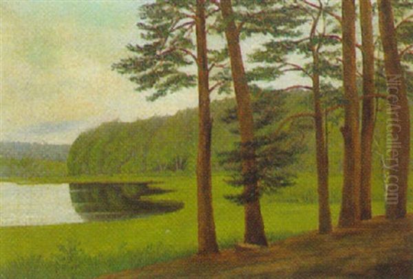 Markische Seenlandschaft - view 1