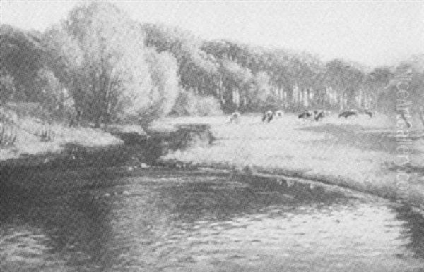 Kuhe Auf Einer Wiese Am Wasser - view 1