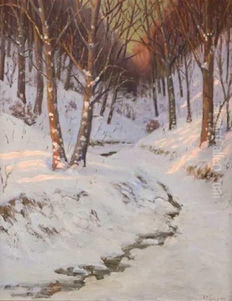 Forest Landscape - view 1