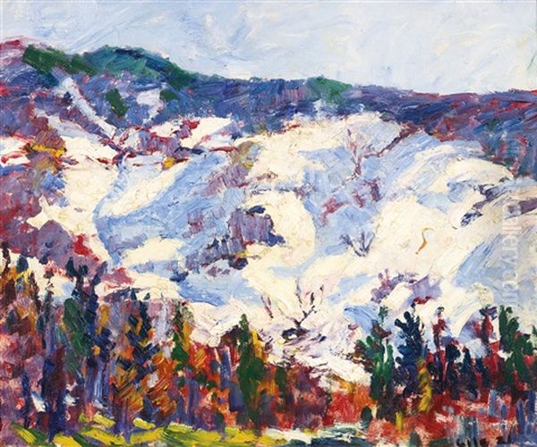 Snowy Mountains - view 1