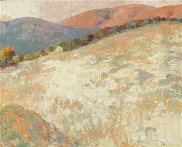 Hay Field, Sunset - view 1