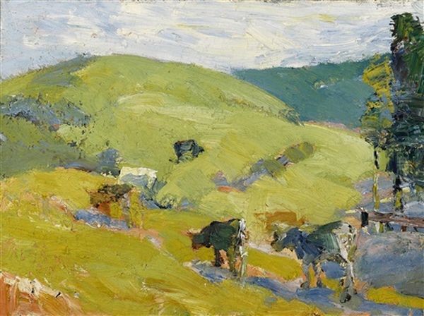Lucas Valley - view 1