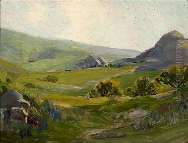 Rolling California Hills - view 1